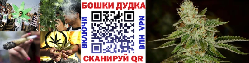 Конопля план  где продают   Демидов 